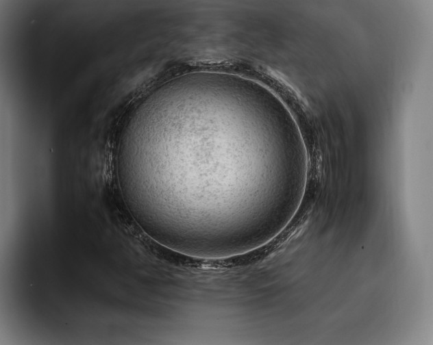 X0000093431350200710121154