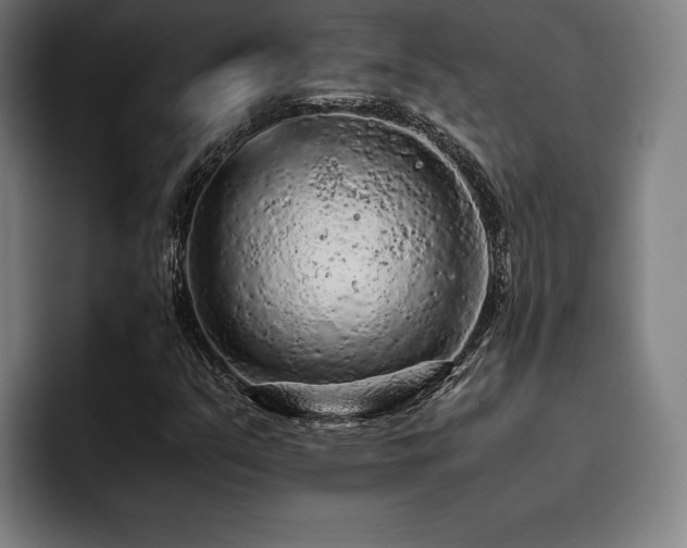X0000093431351200710121154