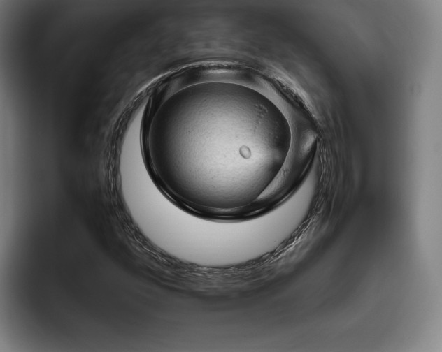 X0000093431352200710121154