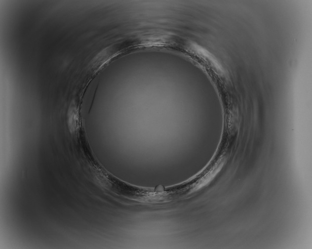 X0000093431353200710121154