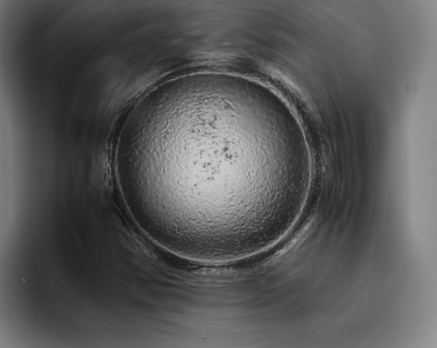 X0000093431354200710121154