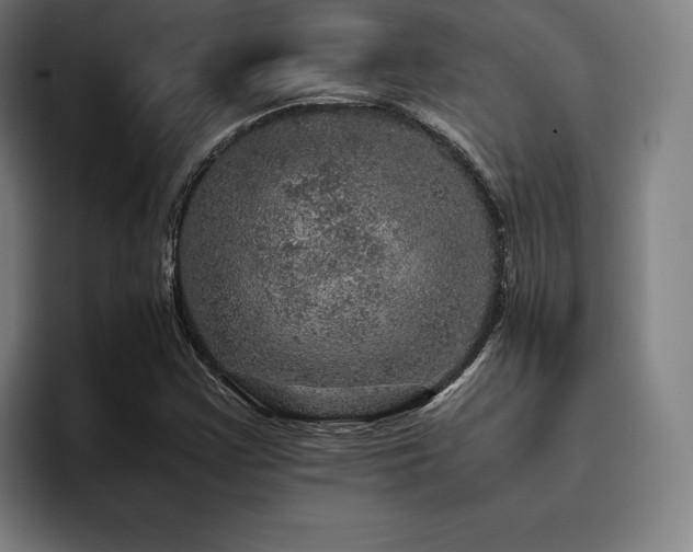 X0000093431355200710121154