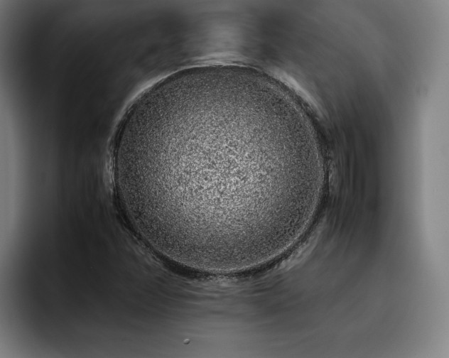 X0000093431358200710121154