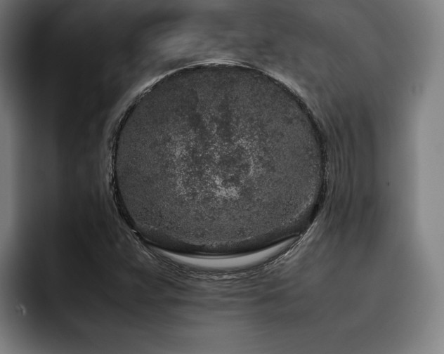 X0000093431359200710121154