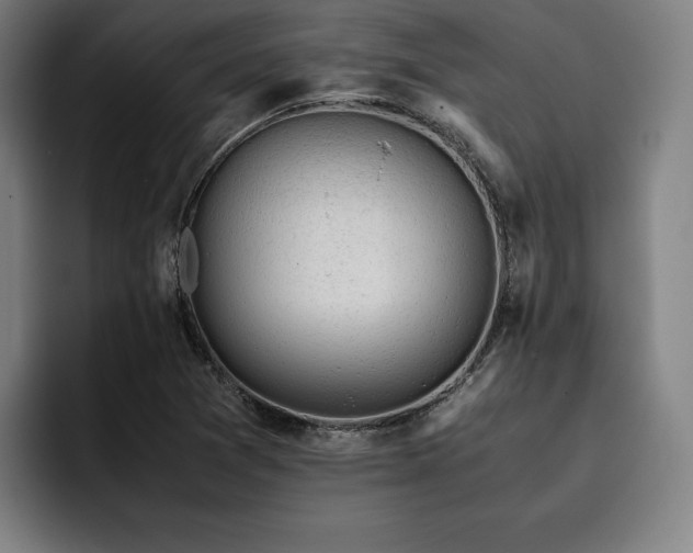 X0000093431361200710121154