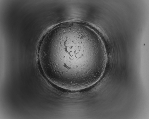 X0000093431363200710121154