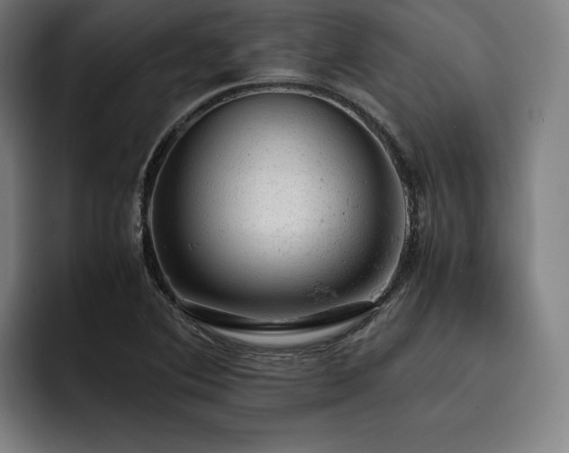 X0000093431364200710121154