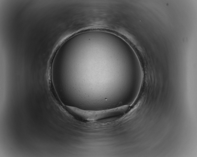 X0000093431366200710121154