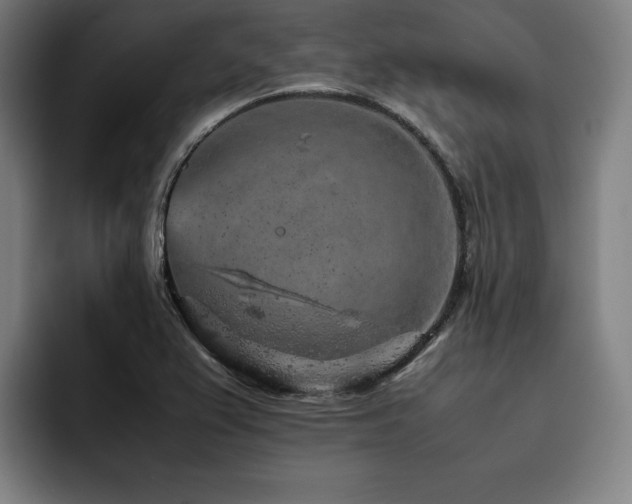 X0000093431367200710121154