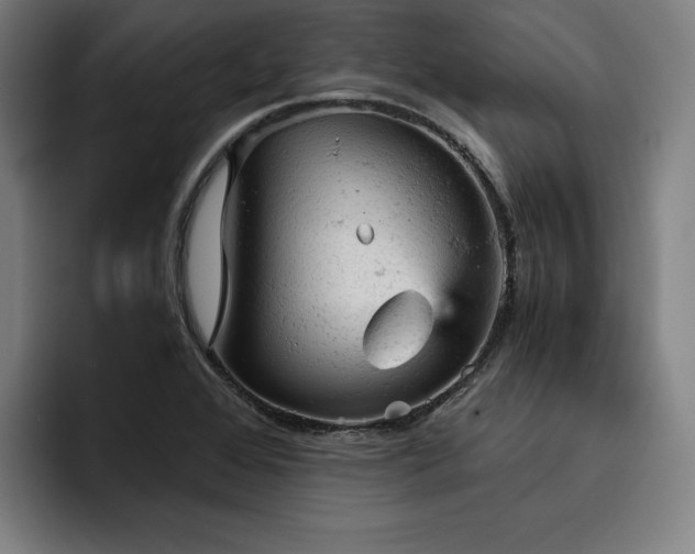 X0000093431368200710121154