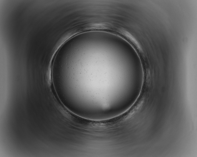 X0000093431370200710121154