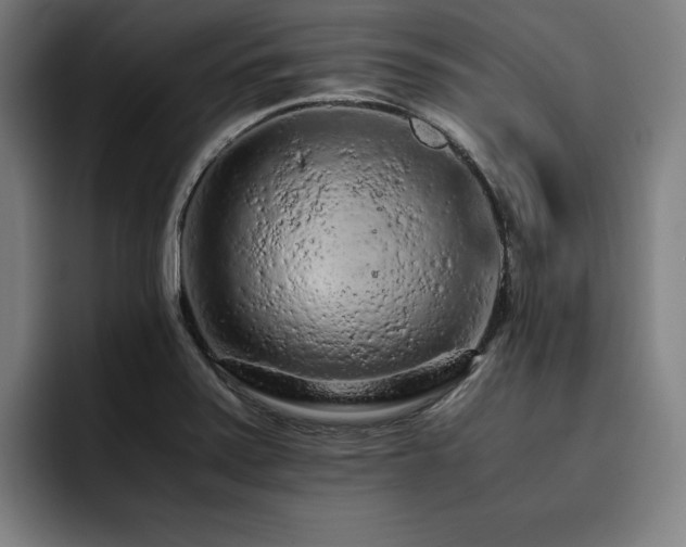 X0000093431371200710121154