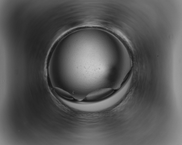 X0000093431372200710121154