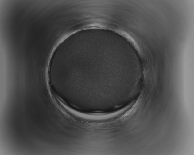 X0000093431373200710121154