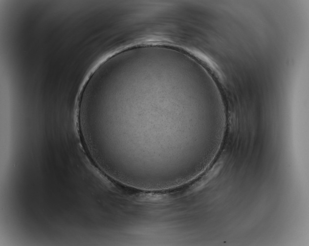 X0000093431374200710121154