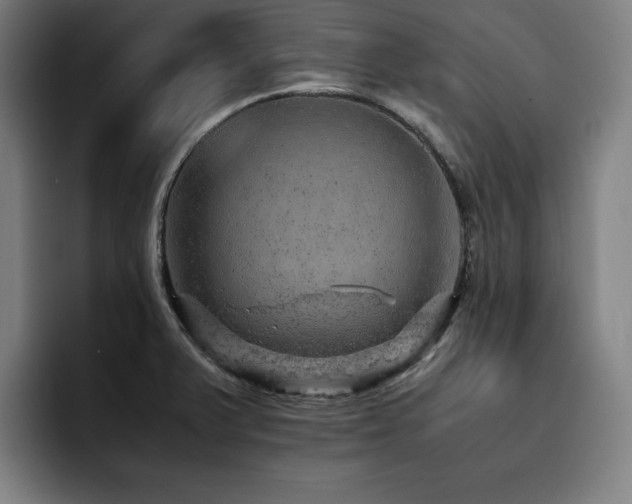 X0000093431375200710121154