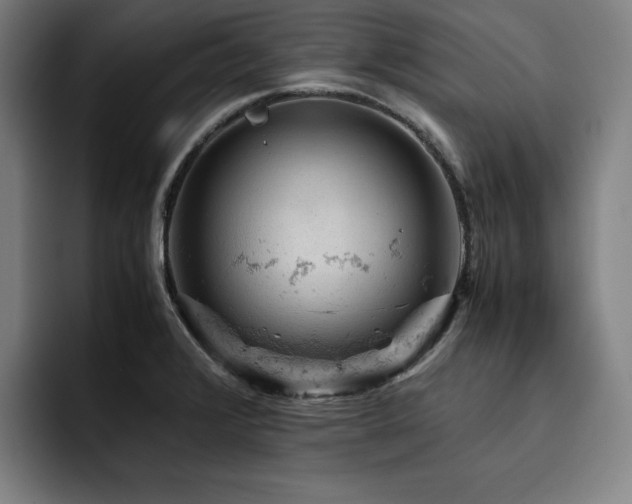 X0000093431376200710121154