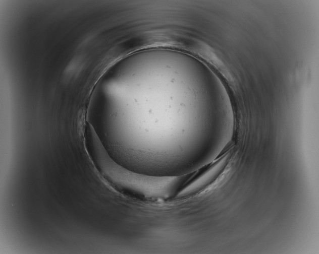 X0000093431377200710121154