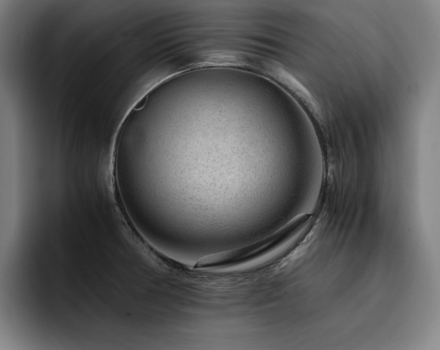 X0000093431378200710121154