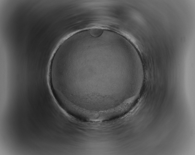 X0000093431379200710121154