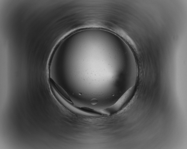 X0000093431380200710121154