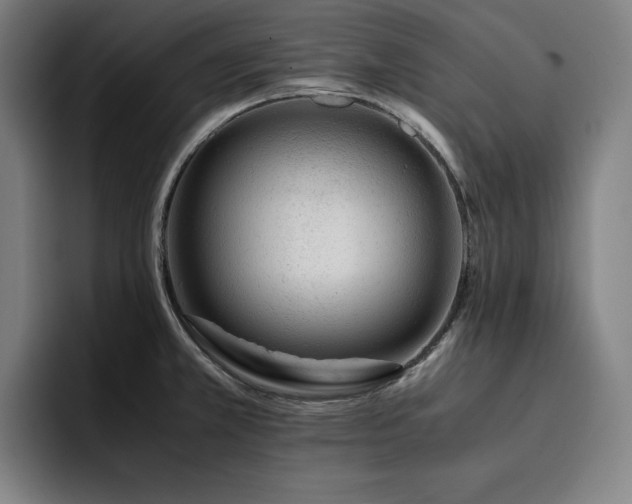 X0000093431381200710121154