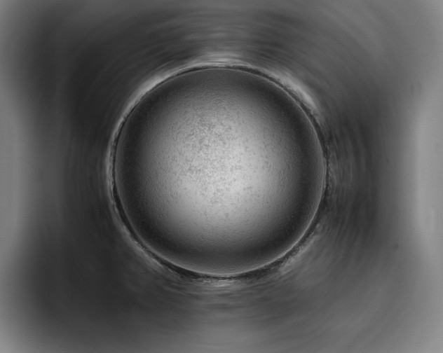 X0000093431382200710121154