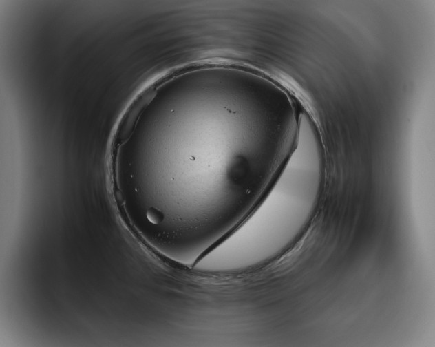 X0000093431384200710121154