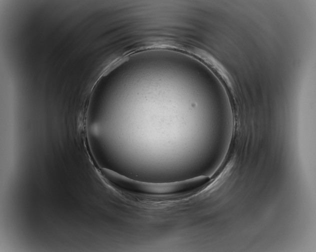 X0000093431385200710121154