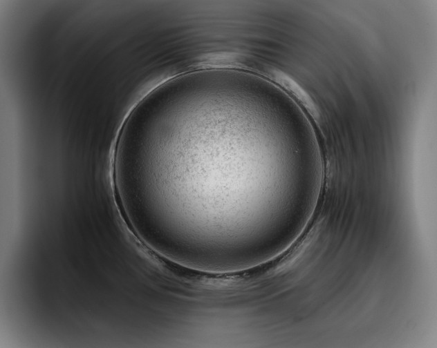 X0000093431386200710121154