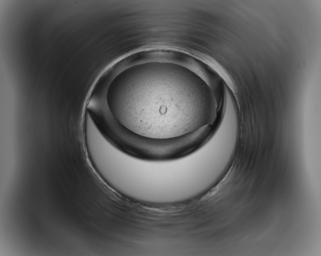 X0000093431388200710121154