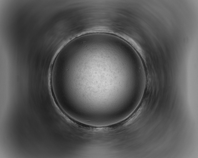 X0000093431390200710121154