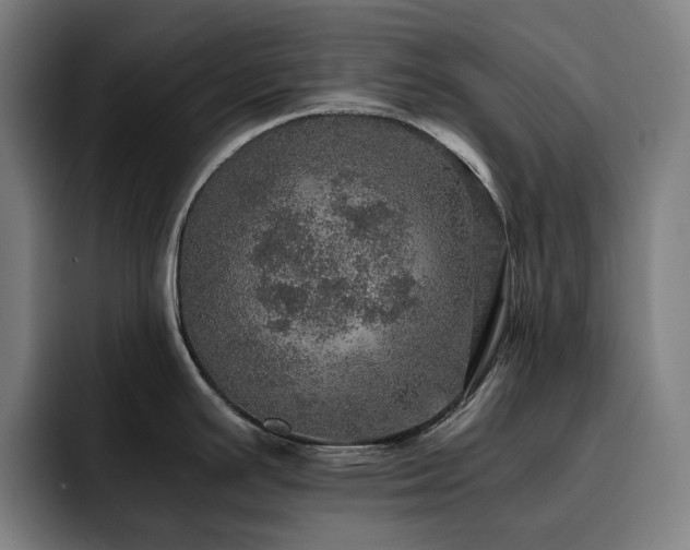 X0000093431391200710121154