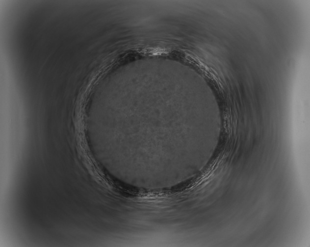 X0000093431393200710121153