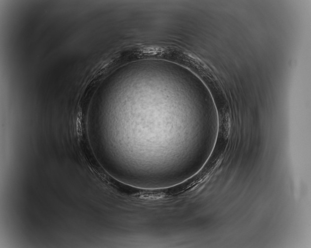 X0000093431394200710121153