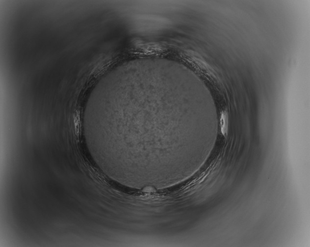 X0000093431395200710121153