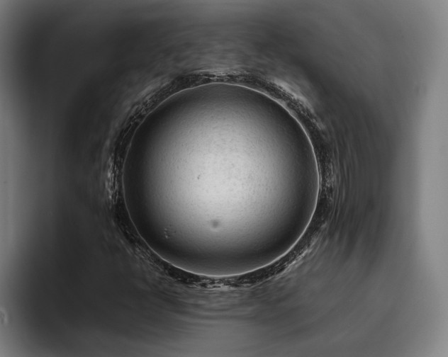 X0000093431398200710121153