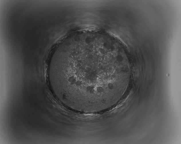 X0000093431399200710121153