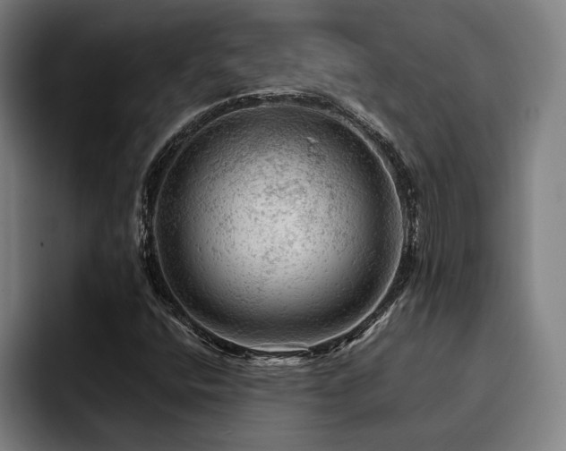X0000093431400200710121153
