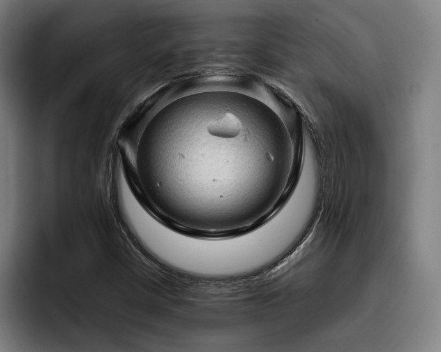 X0000093431402200710121153