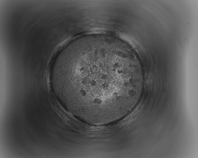 X0000093431403200710121153