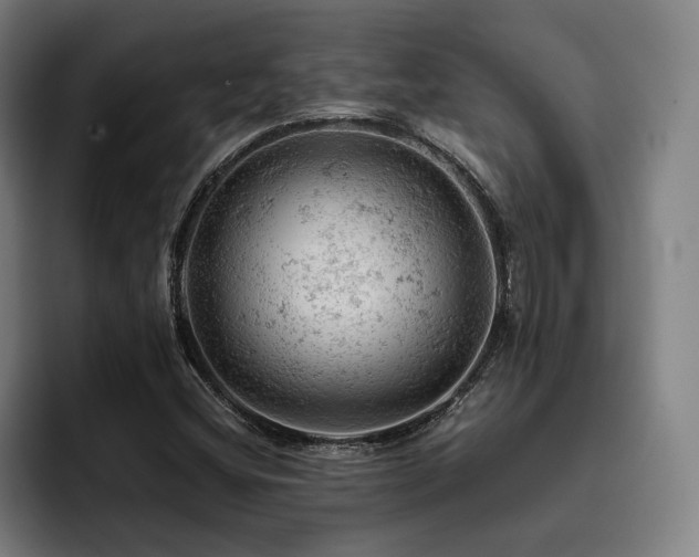 X0000093431404200710121153