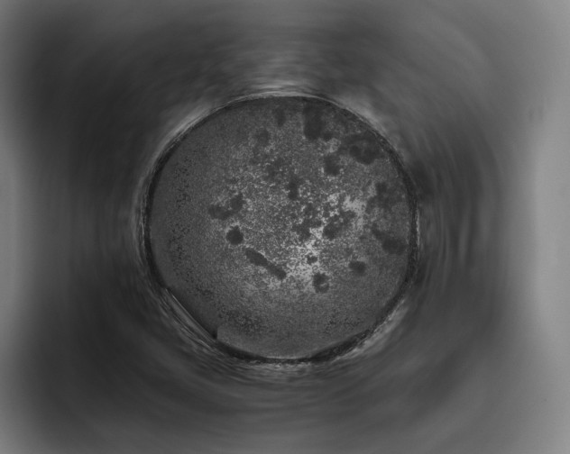 X0000093431405200710121153