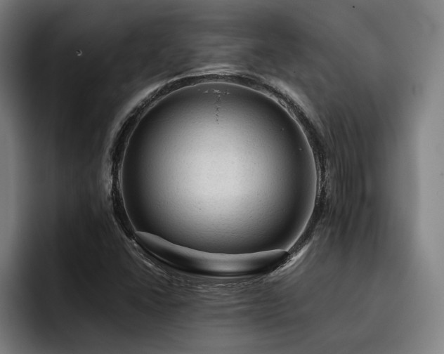 X0000093431406200710121153