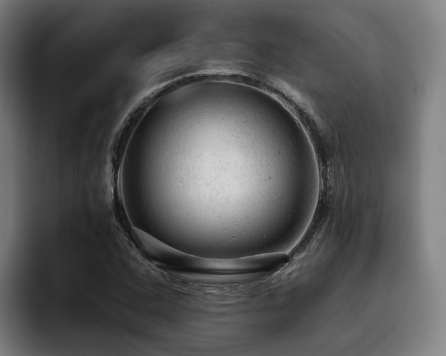 X0000093431408200710121153