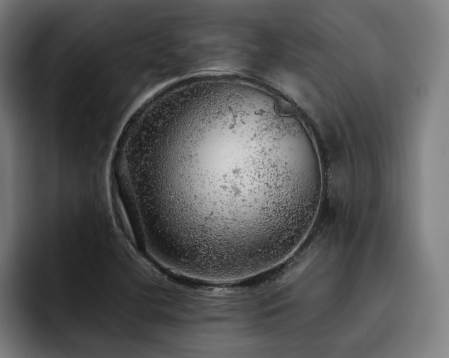 X0000093431412200710121153