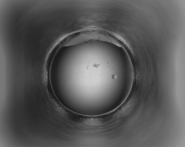 X0000093431414200710121153