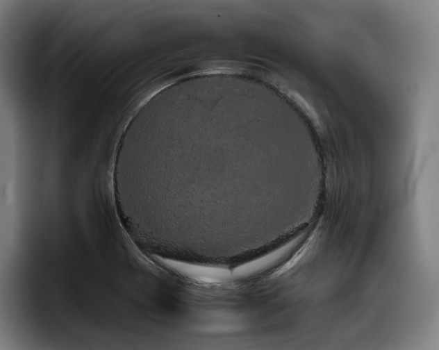 X0000093431417200710121153