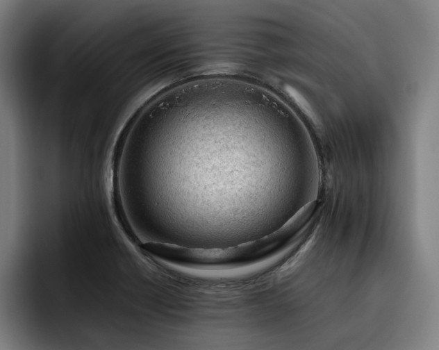 X0000093431418200710121153