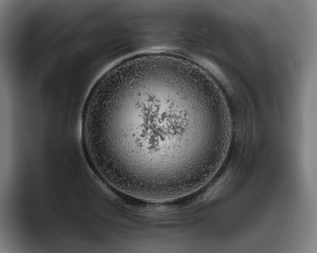 X0000093431420200710121153